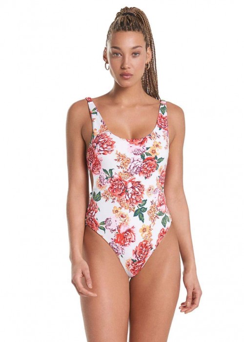 Carnation Sunshy multicolor Carnation Sunshy multicolor