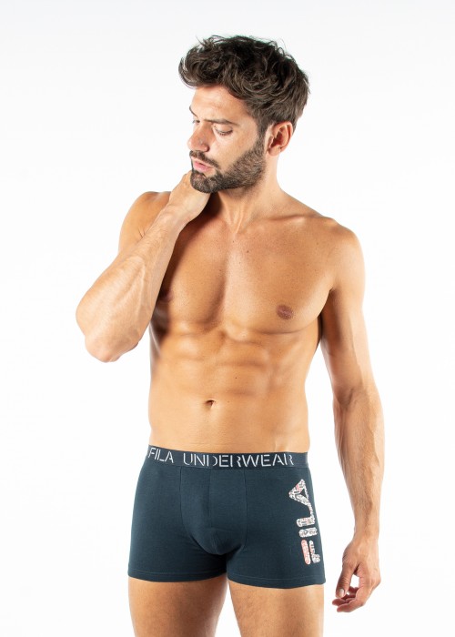 fila boxer logo