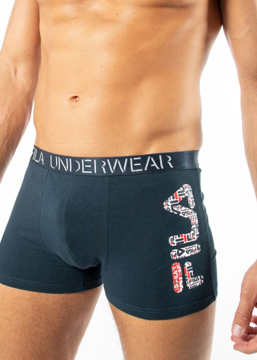 fila boxer logo